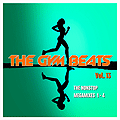 the gym beats vol.13