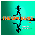 The Gym Beats Vol.13